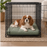 PATLIFF PETS Pet Crate & Floor Mat